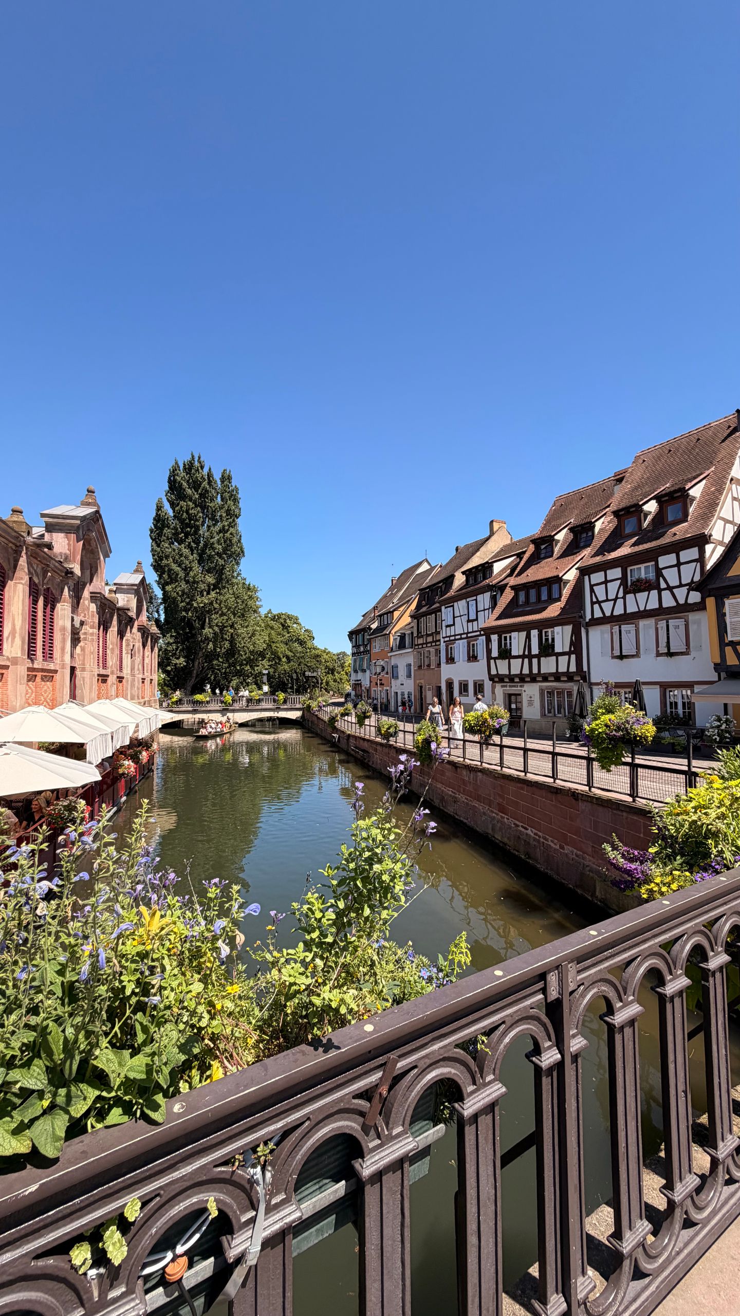 Beautiful sunny view of the canal and traditional half-timbered houses in Colmar, Grand Est, France.